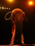 17102004-099.JPG