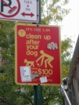 NYC071.JPG