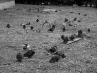 NYC154.JPG