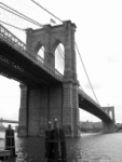 NYC162.JPG