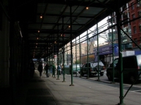 NYC248.JPG