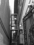NYC259.JPG