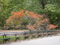 NYC290.JPG