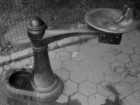 NYC292.JPG