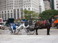 NYC304.JPG